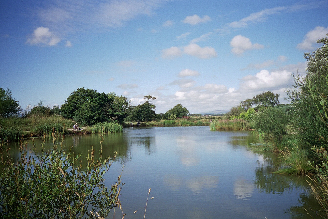 aphotoofspecimenlake.jpg